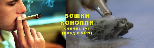 стафф Навашино