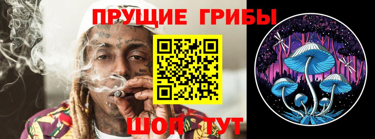 Псилоцибиновые грибы ЛСД Энгельс