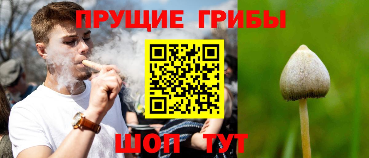 Галлюциногенные грибы мицелий Энгельс