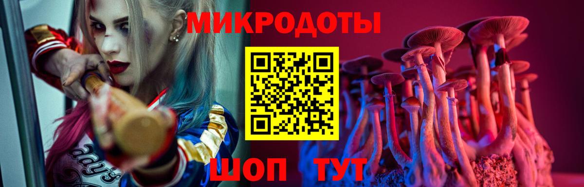 где продают   Вход с VPN  Энгельс  Галлюциногенные грибы мухоморы 